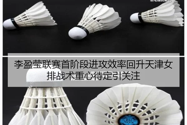 李盈莹联赛首阶段进攻效率回升天津女排战术重心待定引关注